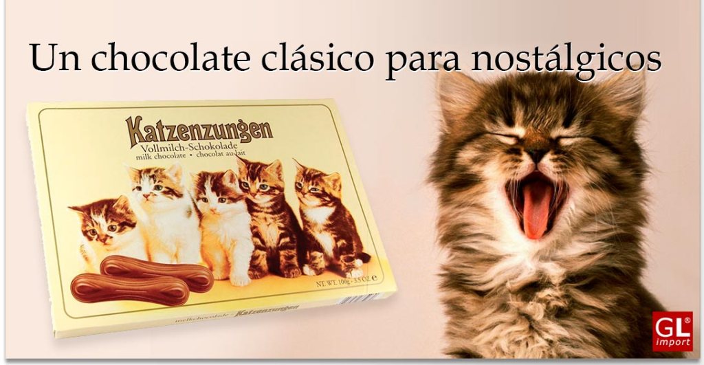 lenguas-de-gato-de-chocolate.jpg